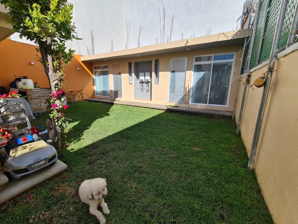 Acogedor Loft Privado Lägenhet Mexico City Exteriör bild
